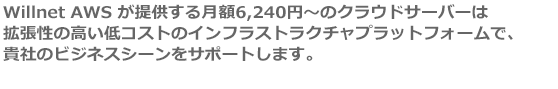 フレキシブルなプライベートクラウド環境を低価格でご提供。運用負荷軽減、サーバー集約によるコスト削減に最適！