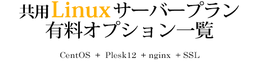 有料オプション一覧