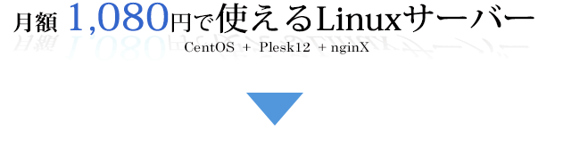 月額 1,080円で使えるサーバー、WLP-10 : 1,080円/月　　WLP-20 : 1,620円/月、更に今なら初期費用無料でスタート