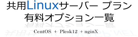 有料オプション一覧