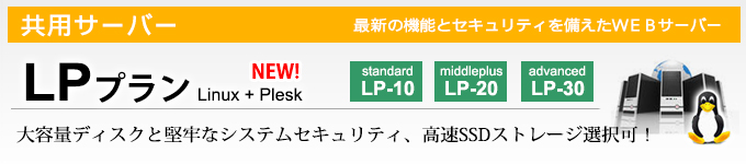 EClbg̋pT[o[LPviLinux+pleskjeʃfBXNƌSȃVXeZLeB