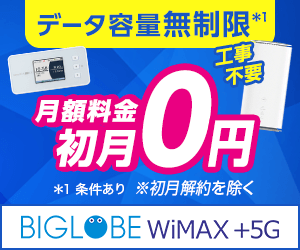 BIGLOBE WiMAXのクーポンの画像