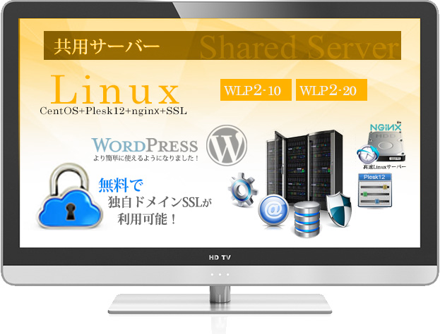 共用サーバー LPプラン　Linux + Plesk12 + nginx