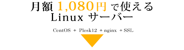 月額 1,080円で使えるサーバー、WLP2-10 : 1,080円/月　　WLP2-20 : 2,180円/月