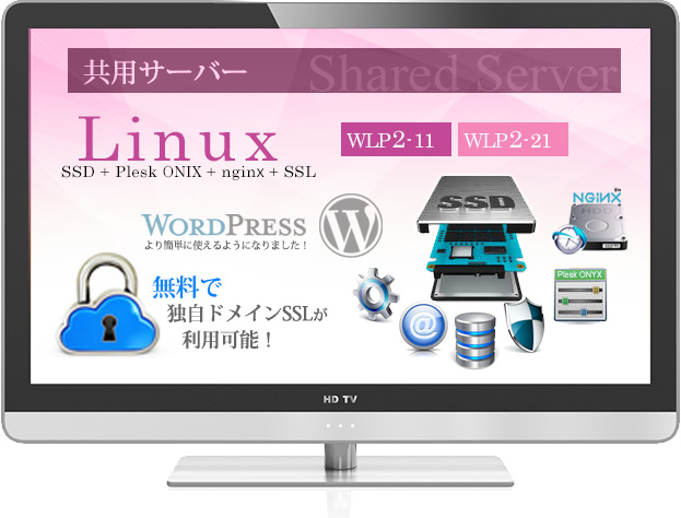 共用サーバー WLP2プラン　Linux + SSD + Plesk ONYX + nginx + SSL