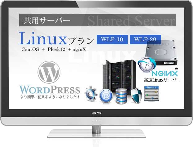 共用サーバー LPプラン　Linux + Plesk12 + nginX