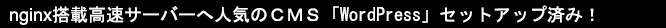 nginx搭載高速サーバーへ人気のＣＭＳ「WordPress」セットアップ済み！