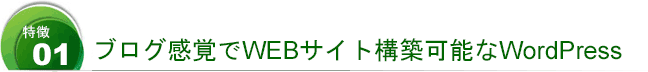 オールインワンパッケージのＣＳ－ＣＡＲＴ使用